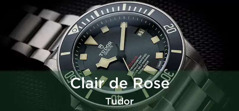 Clair de Rose Tudor