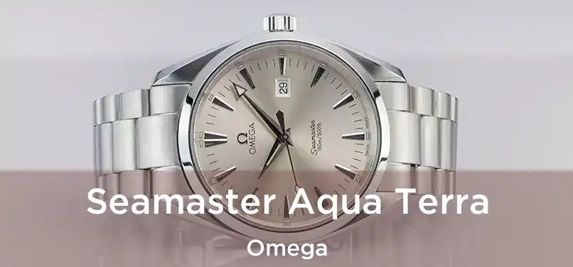  Seamaster Aqua Terra Omega